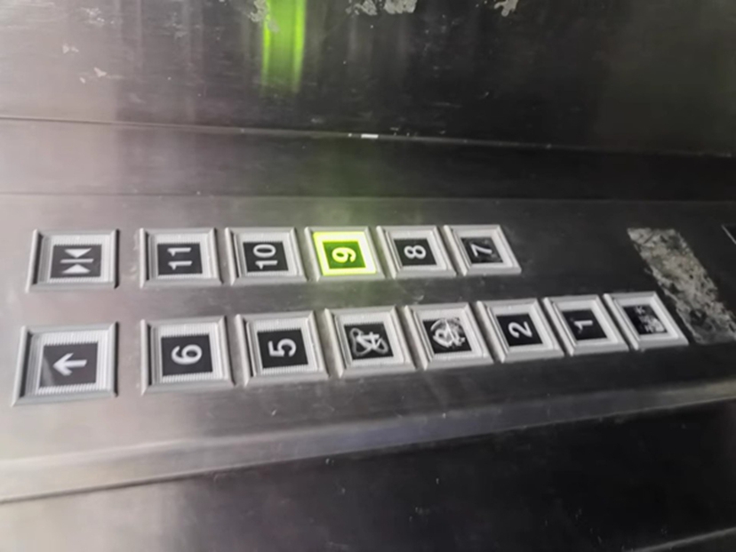 ͼƬ
